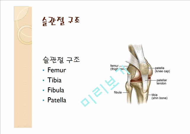 [의학,약학][의학] 인공 슬관절 전치환술 [Total knee replacement]   (4 )